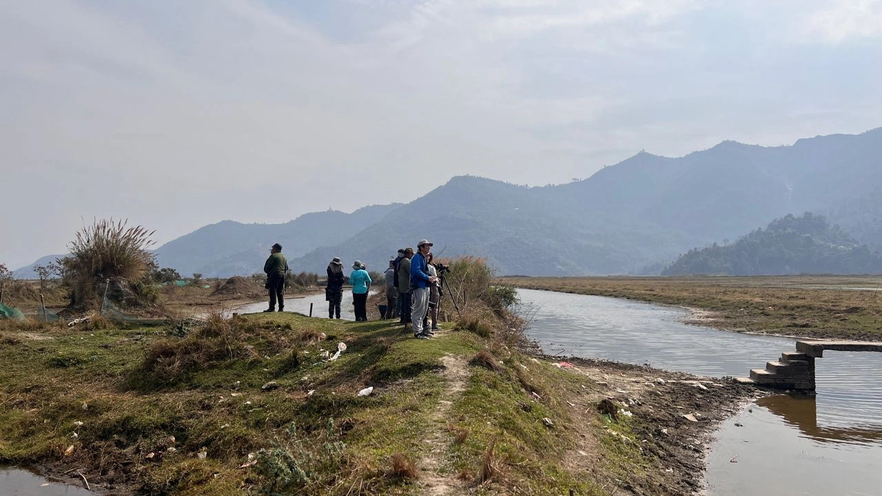 Bird Watching Nepal