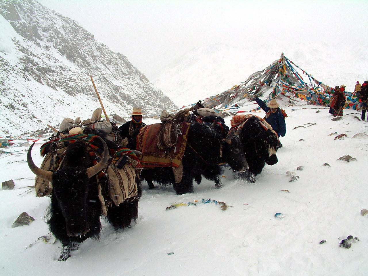 Mount Kailash in Bon Tradition: Yungdrung Gutseg and the Primordial Path