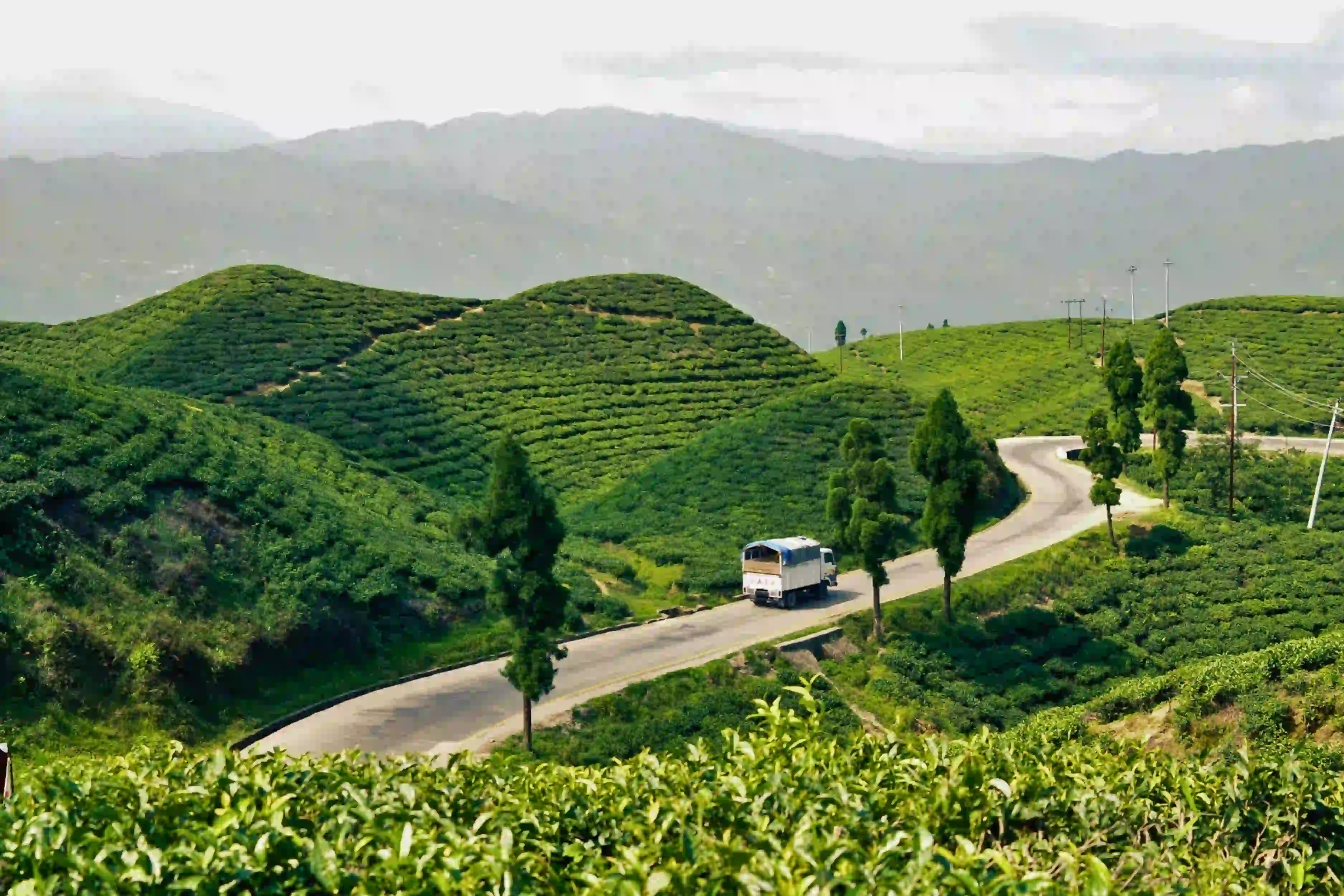 green-hill