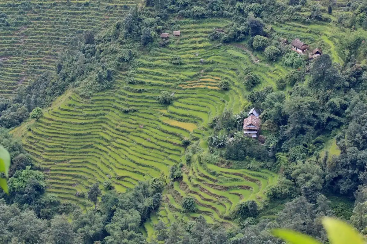 manasli-land-1