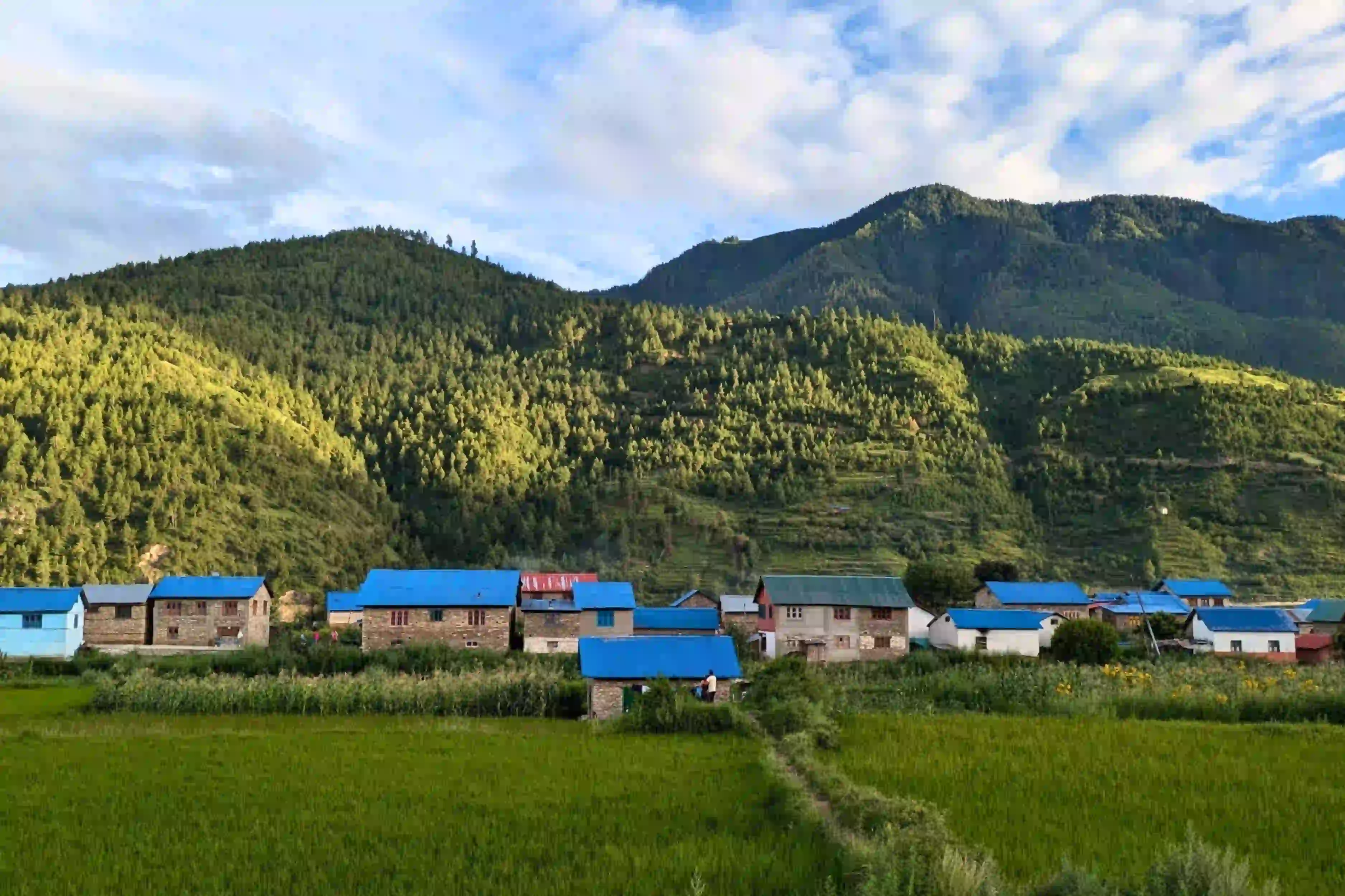 ubhauli1