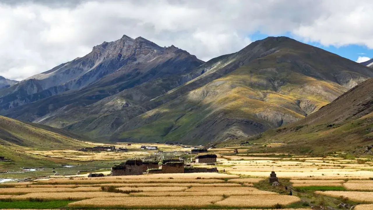 yellow-hills