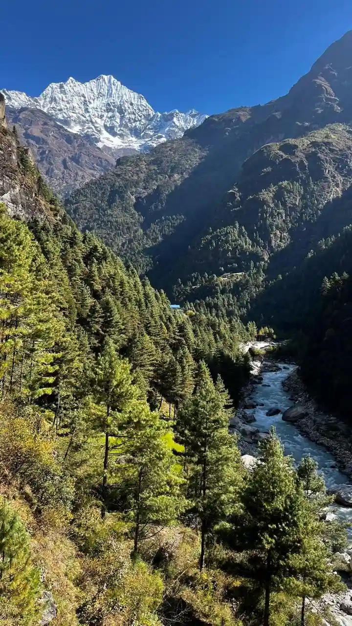 mount-everest-forest-view