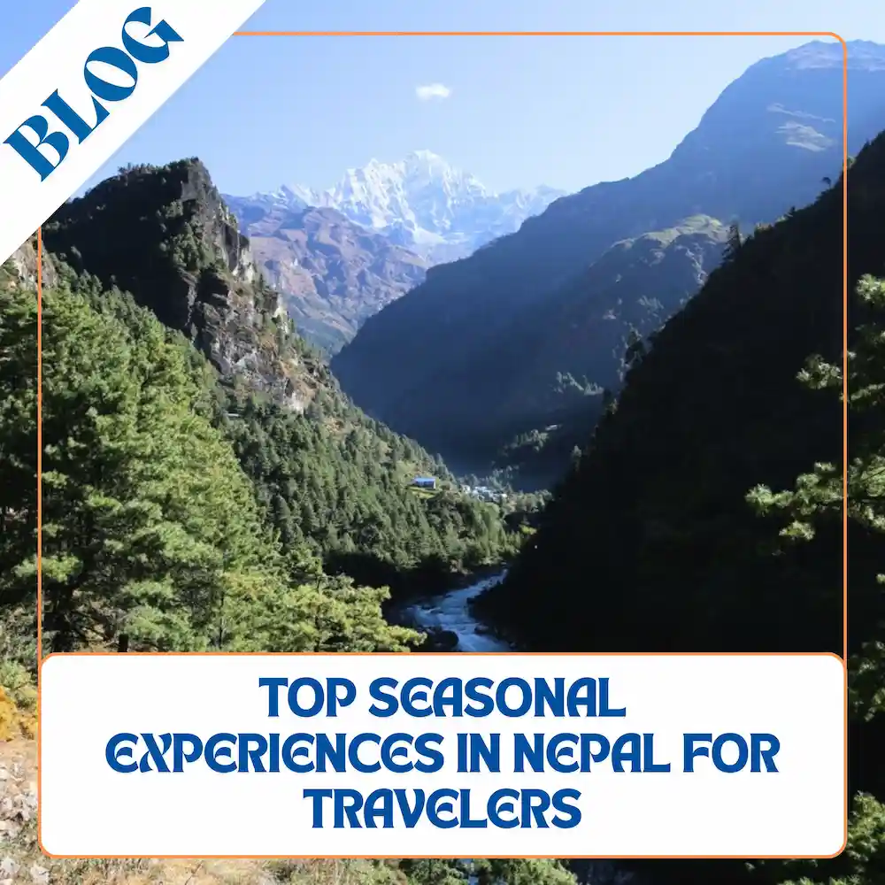 cover-image-season-experience-blog