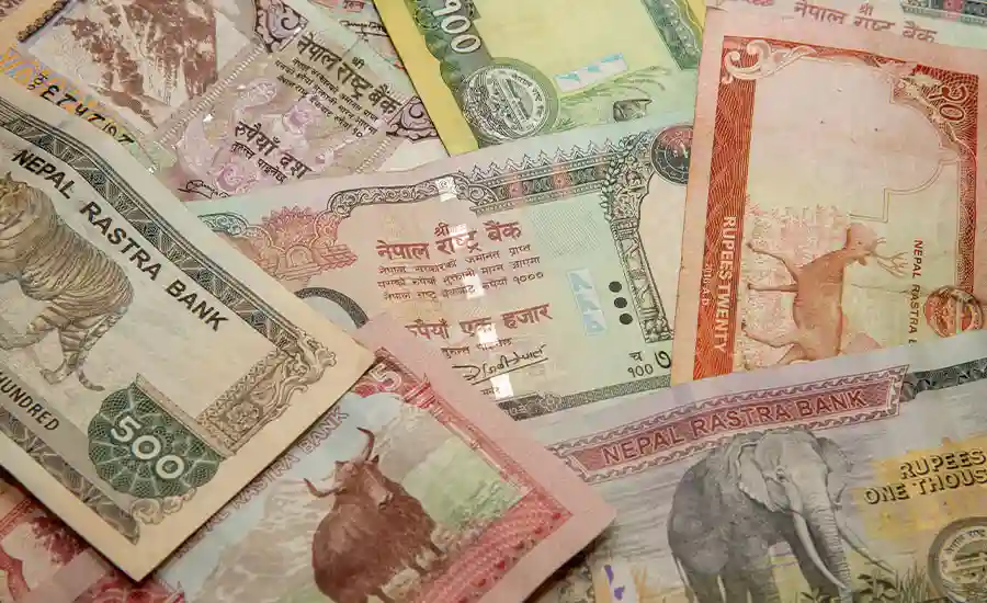 nepali-rupees