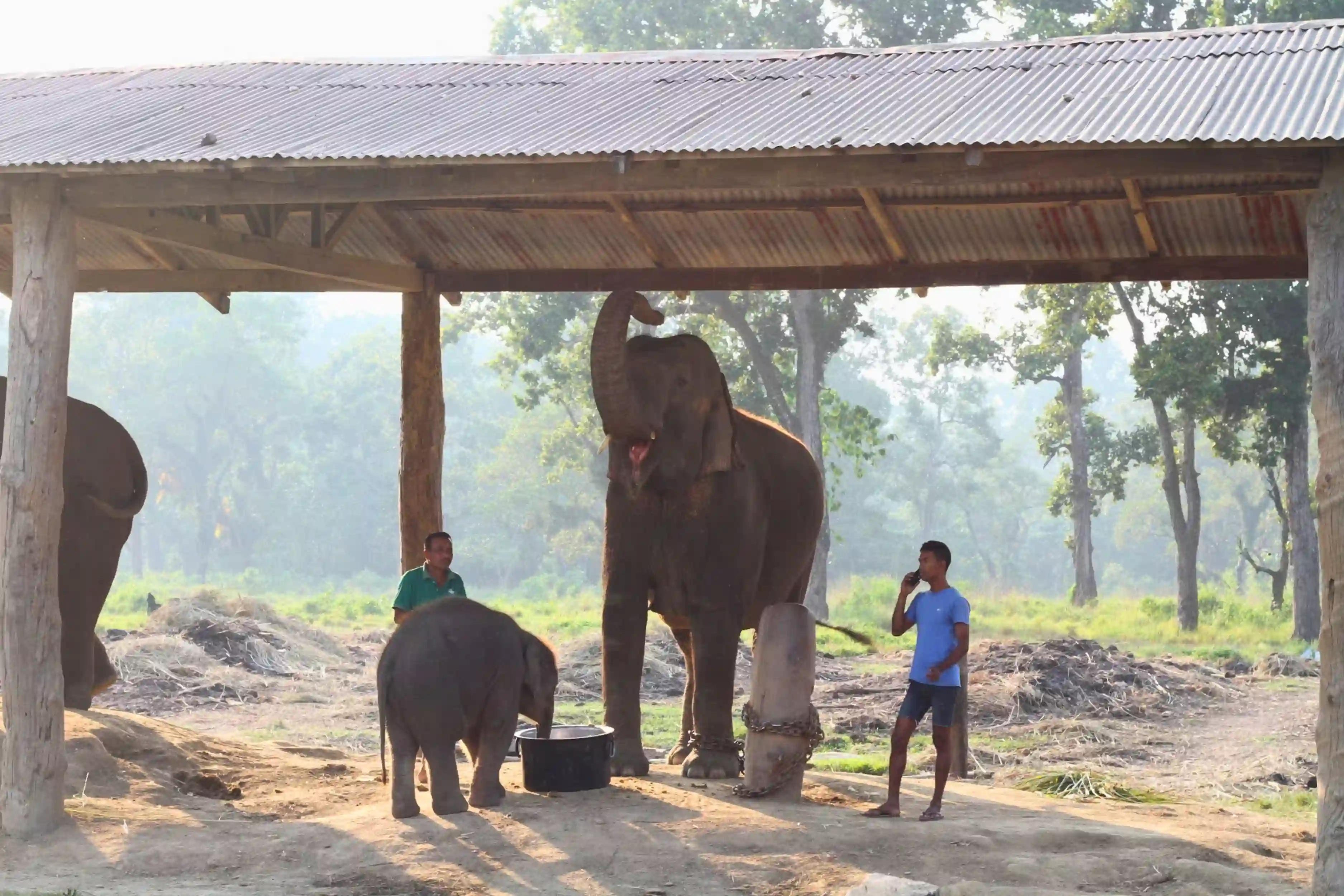 chitwan