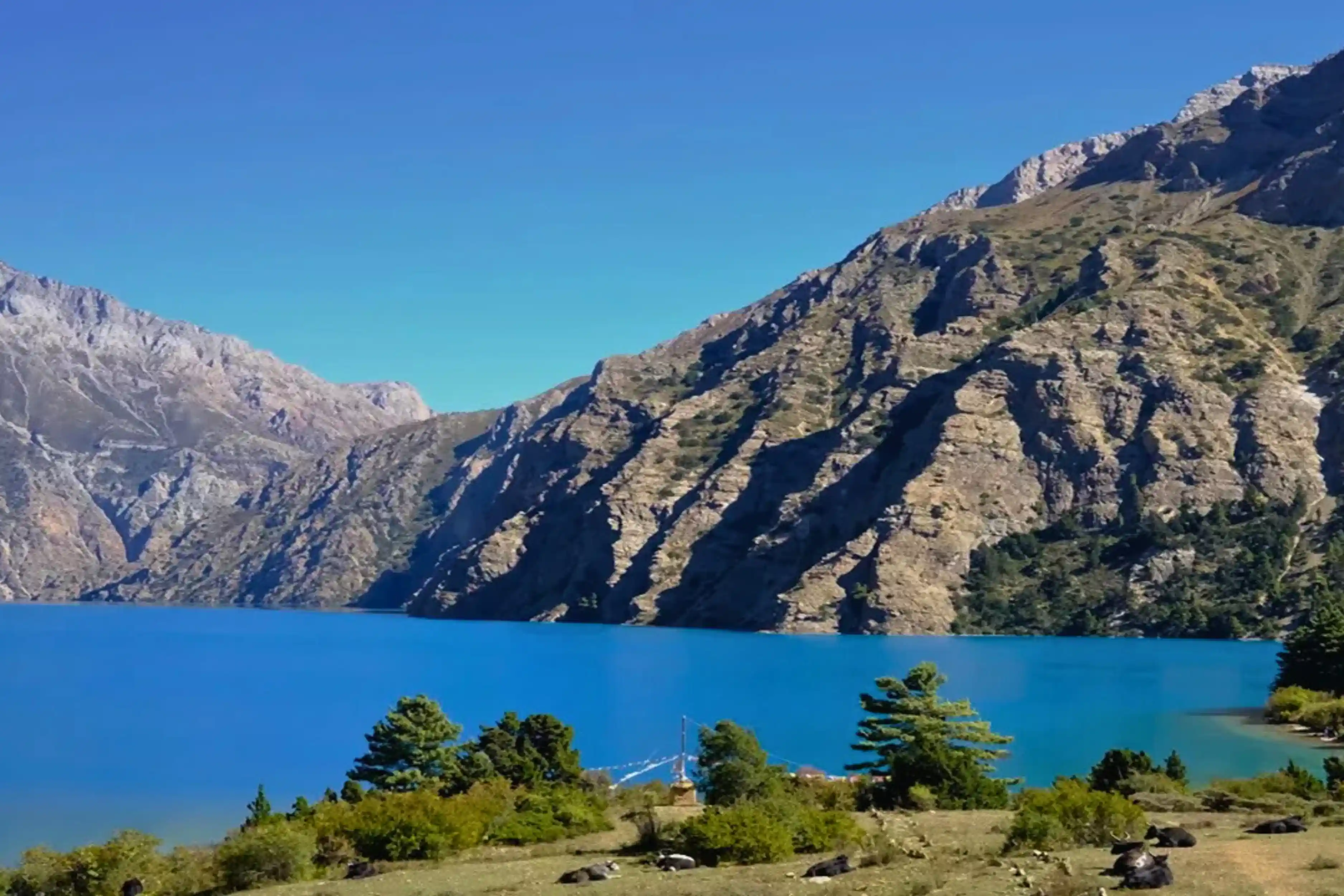 dolpo