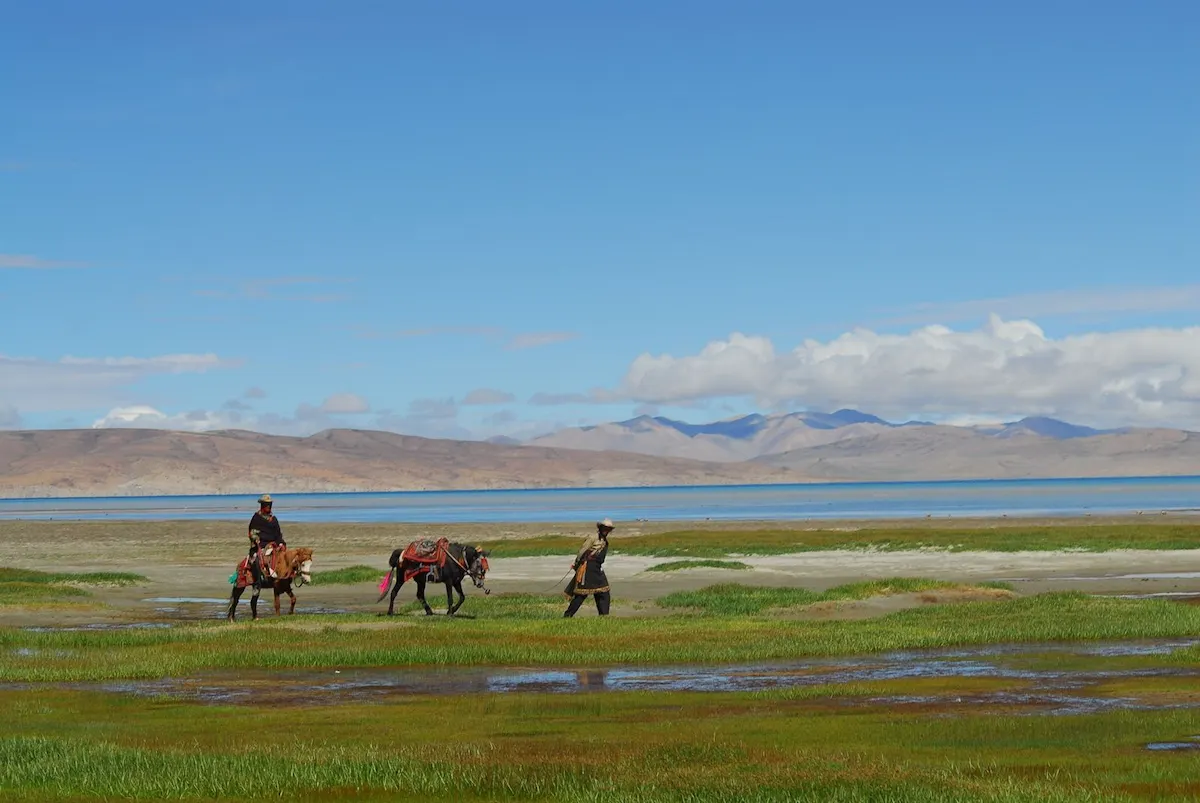 kailash-lakeside-animals