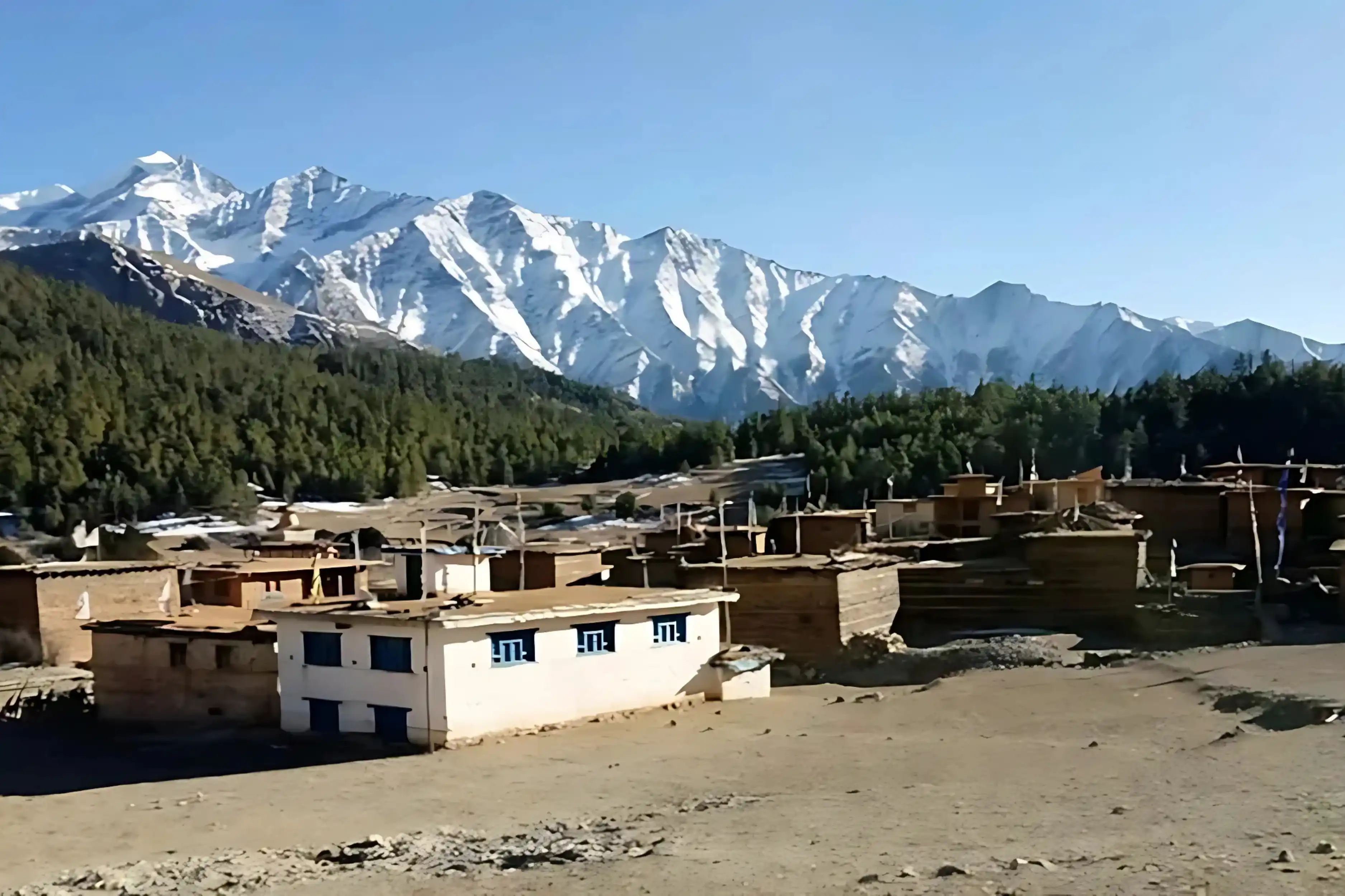 ringmo-village