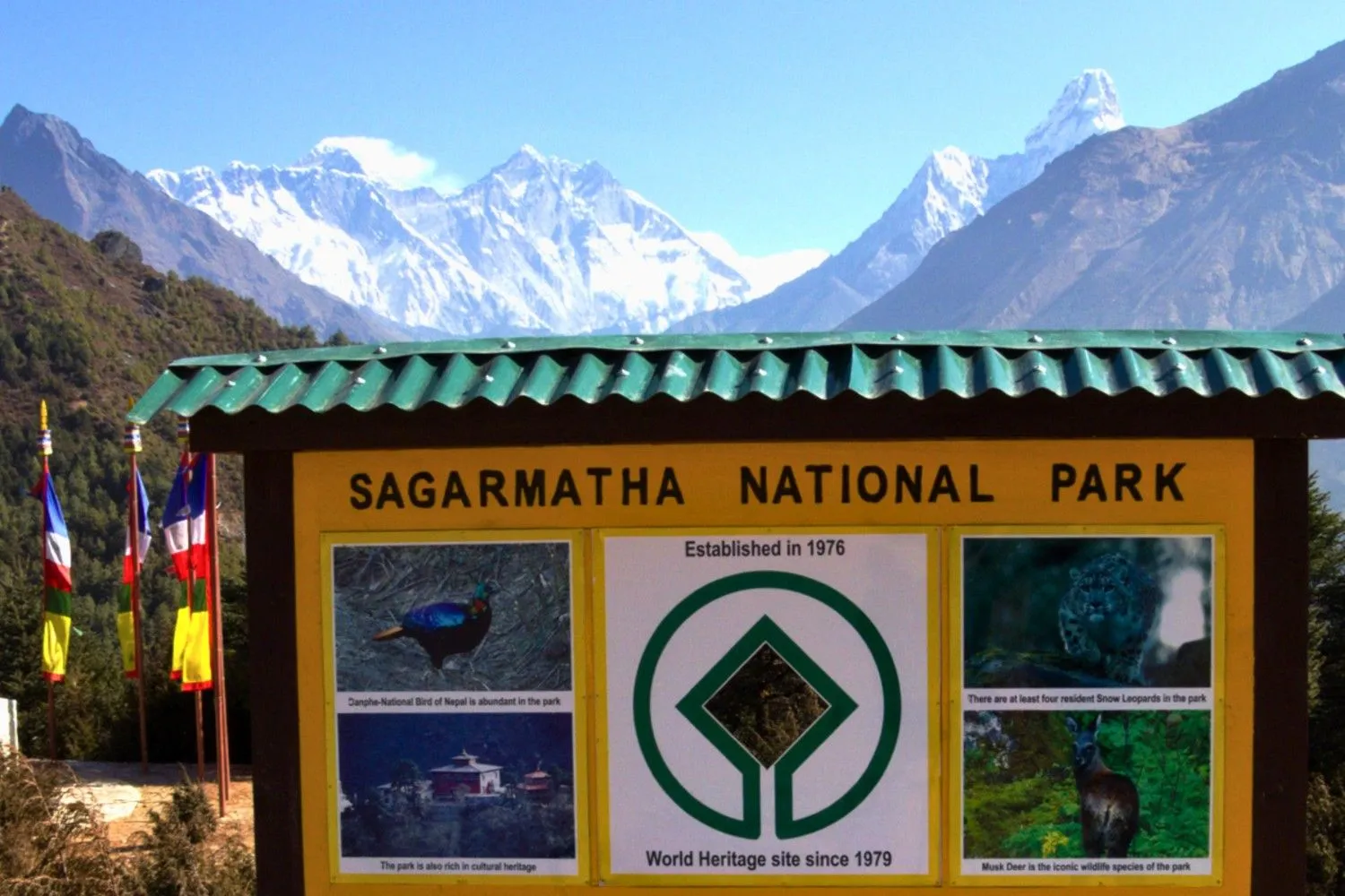 sagarmatha-national-park-board