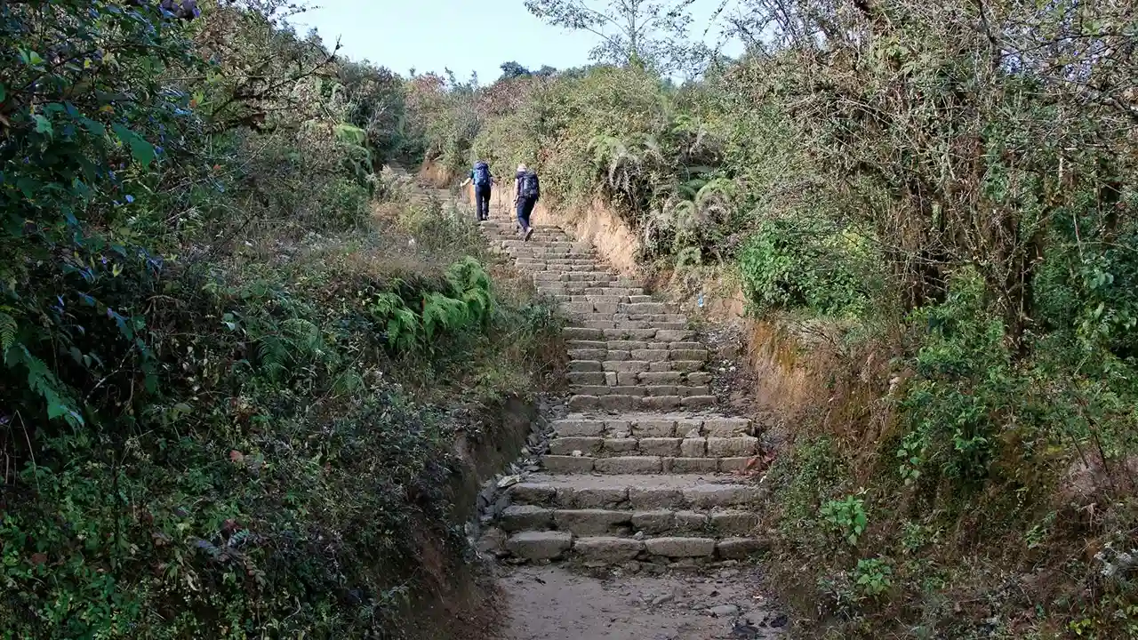 stairs