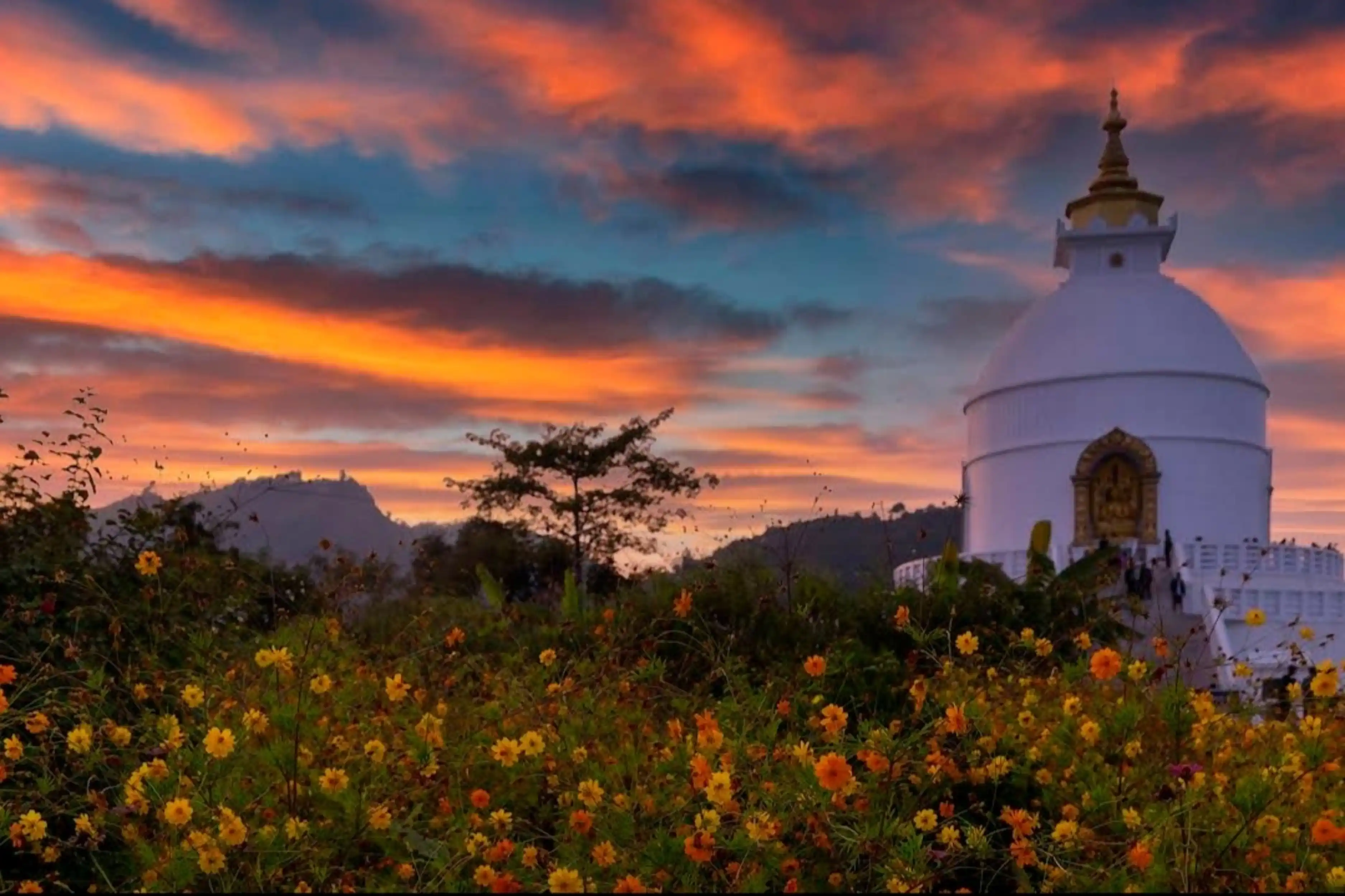 world-peace-pagoda-pokhara