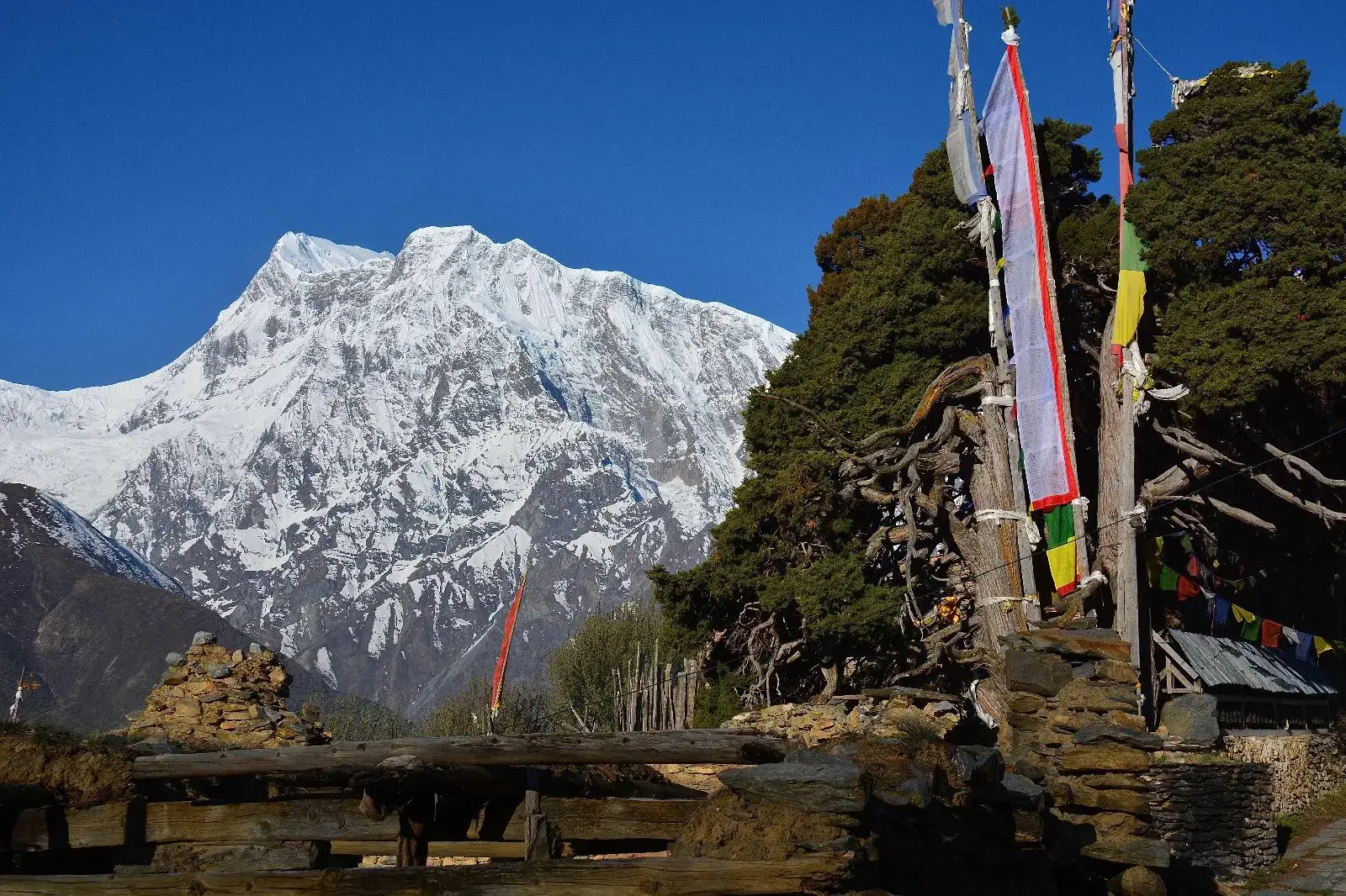 annapurna-mountain-and-prayer-flags