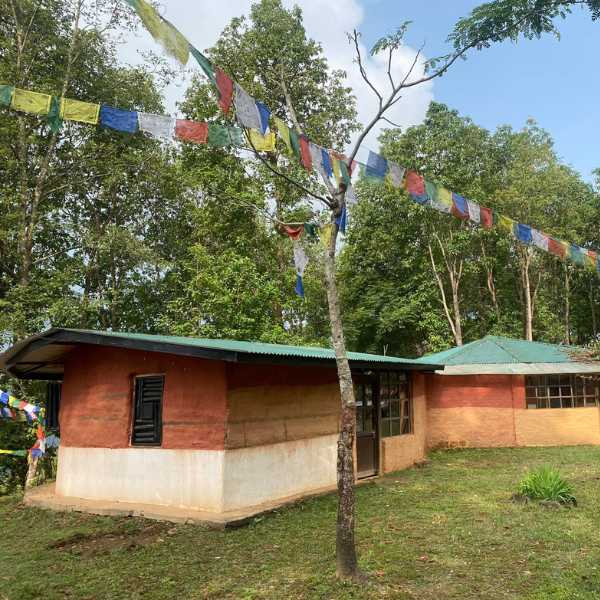 Holy Himalaya: After School 