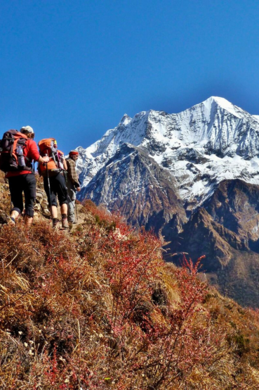 Discover, Dream, Explore: Holy Himalaya Eco Trek's Amazing Options