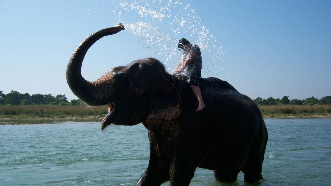 Jungle Adventures of Nepal